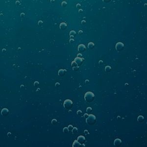 Meet your Posher, Fatima